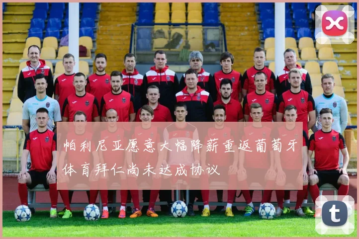 帕利尼亚愿意大幅降薪重返葡萄牙体育拜仁尚未达成协议